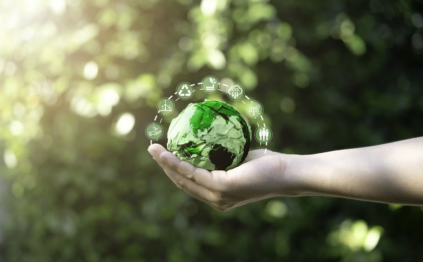 ABNT abre consulta pública sobre norma para diretrizes de sustentabilidade do Programa Selo Verde Brasil