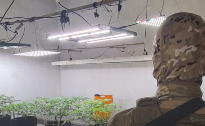 Polícia Civil estoura laboratório usado para cultivo e refinamento de maconha em Maceió