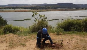 No Velho Chico, plantio de mudas celebra importância da árvore