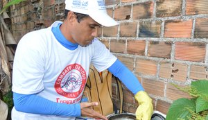 Cinco cidades alagoanas estão com risco de surto de dengue