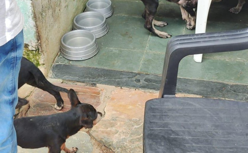 Abrigo clandestino de animais é interditado no Conjunto João Sampaio