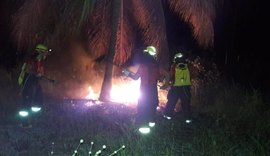 Incêndio em vegetação assusta moradores em Porto de Pedras