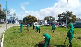 Praça da Faculdade ganhará mais de 200 mudas no Bairro Verde