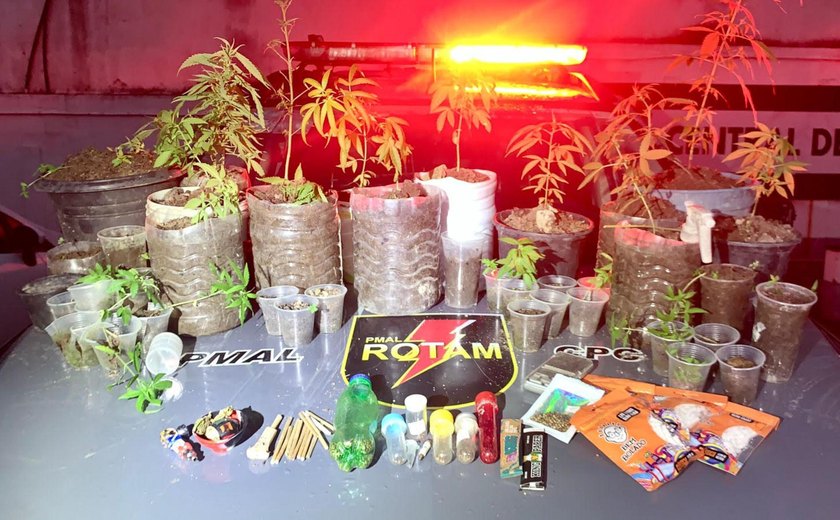 Homem é preso por cultivar 37 pés de maconha em Satuba