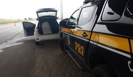 PRF prende traficante com mais de dez quilos de maconha na mala do carro