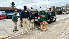 FPI do São Francisco flagra irregularidades em criatório de aves em Arapiraca
