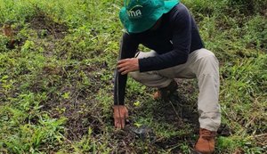 Junho Verde: projeto apoiado pela Equatorial incentiva plantio de árvores em Alagoas