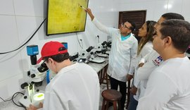 Estudo pioneiro em Alagoas busca controle biológico do ácaro vermelho das palmeiras