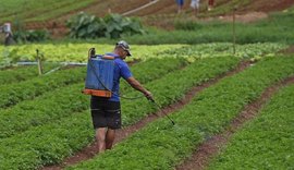 Comissão aprova projeto que flexibiliza uso de agrotóxico