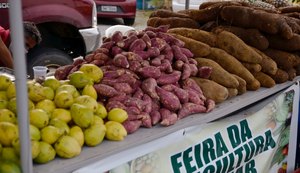 Feira da Agricultura Familiar chega a 21ª edição assegurando ao consumidor a venda de alimentos da roça