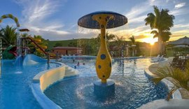 Carnaval Rota dos Milagres Cambará promete agitar o litoral norte