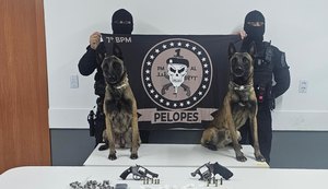 PM apreende armas de fogo e drogas no interior e recupera veículos roubados na capital