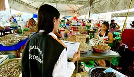 Procon Maceió divulga pesquisas de preços de itens da Páscoa