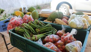 Feira Orgânica da Semarh retorna nesta terça, das 8h às 12h