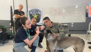 Militar alagoana conquista primeiro lugar em curso com cães no Espírito Santo
