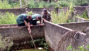 IMA/AL procura solução para jacarés encontrados maltratados e abandonados