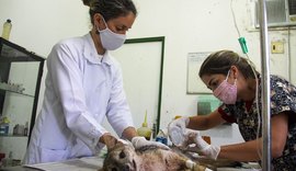 Cetas completa 15 anos com resgate de sete mil animais em 2020