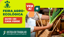 Feira agroecológica do TRT-19 está de volta