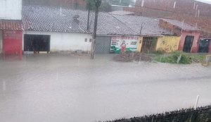Chuvas causam quedas de árvores e deslizamentos em vários bairros de Maceió