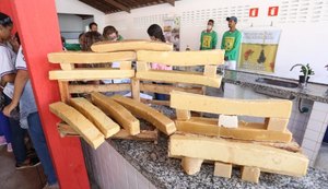 Aulas de campo, plantios de árvores e visitas marcam primeira semana de atividades