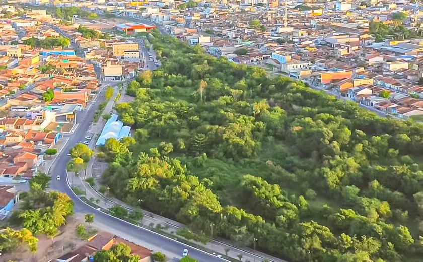 Arapiraca bate mais um recorde com plantio de 50 mil árvores urbanas