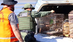 Centenas de animais silvestres resgatados pela FPI do São Francisco voltam para a natureza