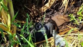 Corpo de idoso desaparecido há quase 20 dias é achado na zona rural de Coruripe