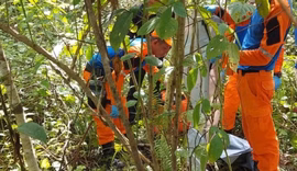Mãe e filho indígenas são encontrados mortos em área de mata no Amazonas