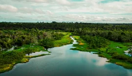 Área de proteção terá trilha ecológica e turismo de base comunitária