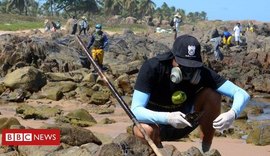 Celebridades se revoltam com vídeo sobre tartaruga manchada de óleo em Maragogi