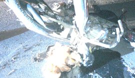 Motociclista morre em acidente em Lagoa da Canoa