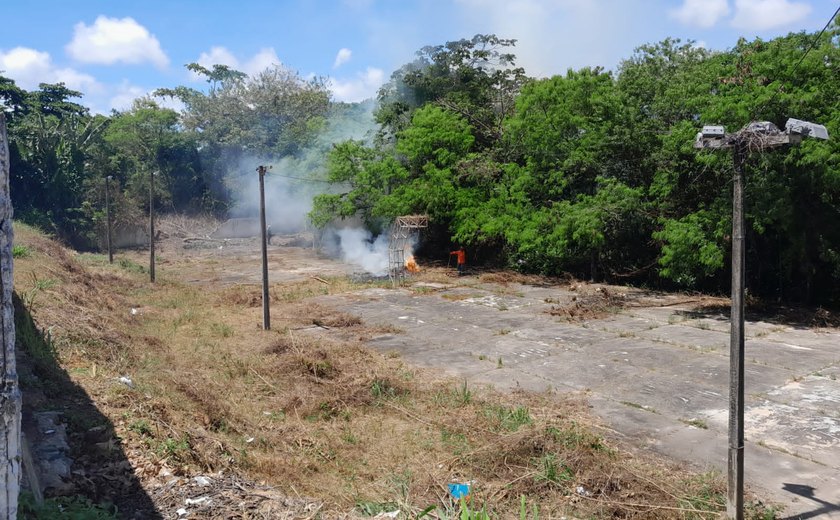 Moradores da Serraria denunciam retirada de árvores nativas de horto florestal, mas prefeitura nega
