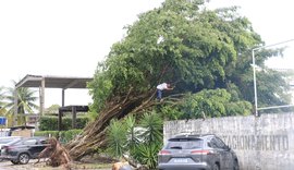 Maceió lidera ranking nacional de chuvas