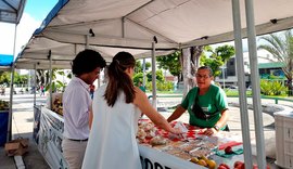 Feira agroecológica terá comidas juninas e distribuição de mais de 600 mudas
