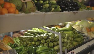 Embrapa desenvolve fertilizante orgânico nitrogenado