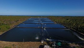 Banco do Nordeste financia projeto alagoano referência em carcinicultura sustentável