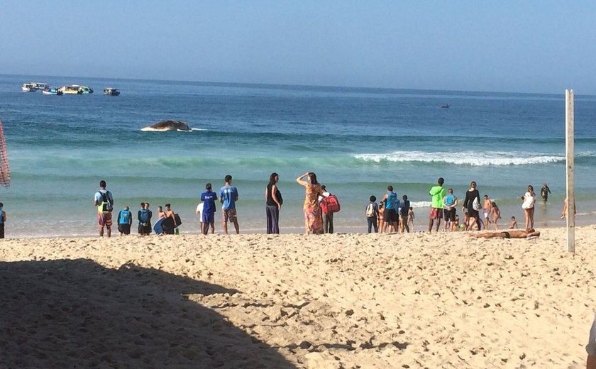 Baleia morre encalhada na Praia de Ipanema, no Rio de Janeiro