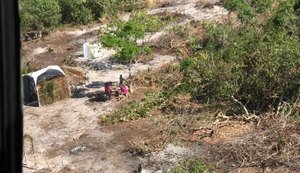 IMA lavra auto de R$ 750 mil por desmatamento de 100 hectares em Piaçabuçu