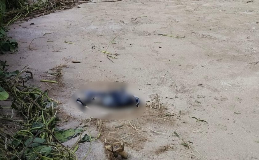 Polícia Científica inicia processo para identificar ossada humana encontrada em São Miguel dos Milagres