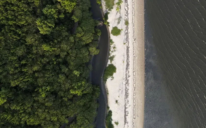 “Não existe Planeta B”, alerta astrofísico às vésperas da COP30