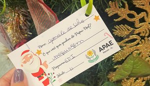Campanha “Padrinhos de Natal”, em parceria com a APAE, está de volta ao Parque Shopping