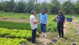 Arapiraca produz 10 mil toneladas de hortaliças