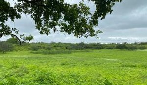 Fazenda de 780 tarefas será leiloada pela VT de Santana do Ipanema no dia 10