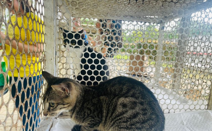 Unit realiza Feira Pet nesta terça-feira (16)