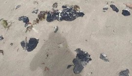 Óleo aparece em Milagres e Barra de Santo Antônio