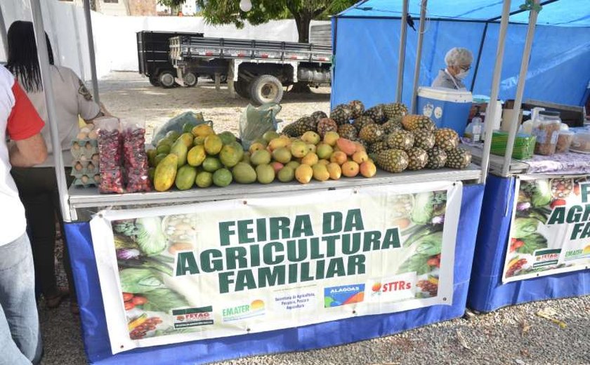 Edição natalina da Feira da Agricultura Familiar acontece nos dias 17 e 18 de dezembro