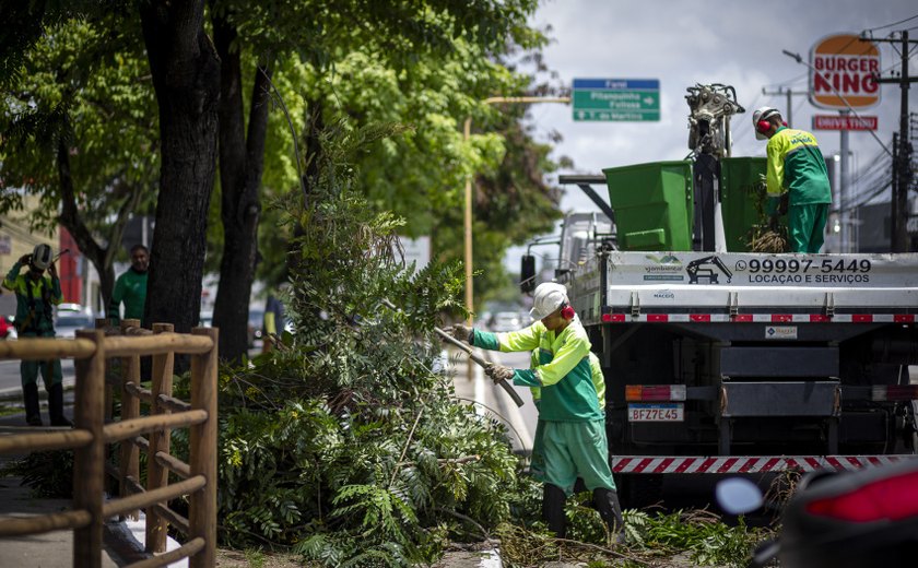 Prefeitura de Maceió orienta como solicitar poda e supressão de árvores