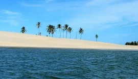 Cadáver é encontrado boiando em trecho do Rio São Francisco