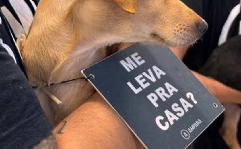 Animais resgatados buscam um novo lar em evento de adoção na Galeria Sam´s Club Maceió