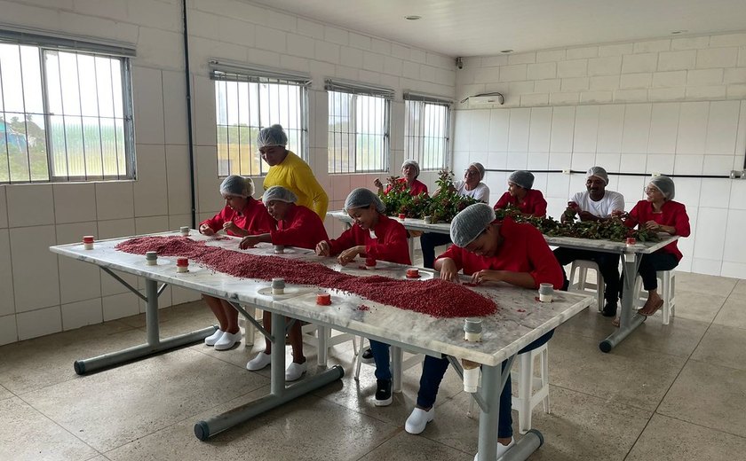 Nova etapa do projeto 'Cooperativas do Brasil - retratos de um mundo melhor' chega a Alagoas